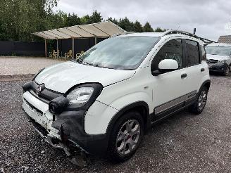 Fiat Panda CROSS picture 12