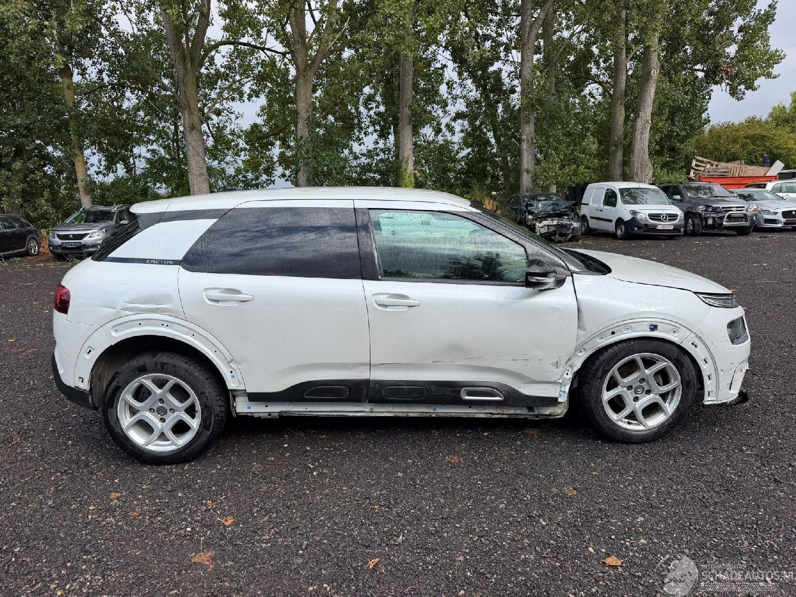Citroën C4 cactus CACTUS FLAIR