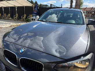 BMW 1-serie I picture 7