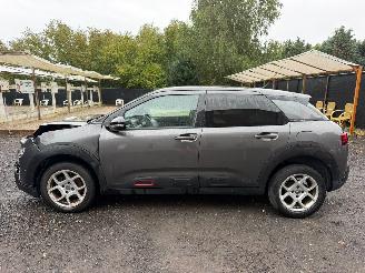 Citroën C4 cactus CACTUS FLAIR picture 12