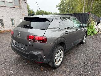 Citroën C4 cactus CACTUS FLAIR picture 18