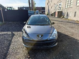 Peugeot 206 1.2I picture 9