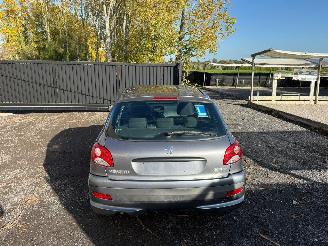 Peugeot 206 1.2I picture 16