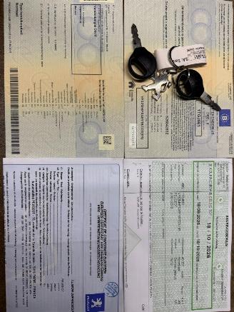 Peugeot 206 1.2I picture 32