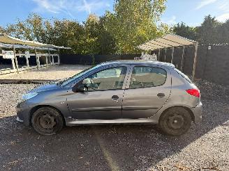 Peugeot 206 1.2I picture 13