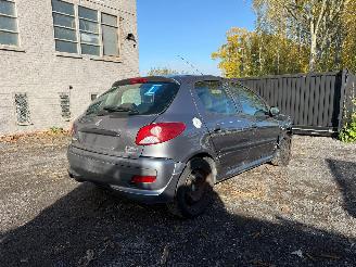 Peugeot 206 1.2I picture 23