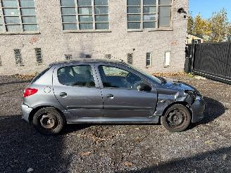 škoda osobní automobily Peugeot 206 1.2I 2010/1