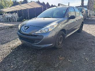 Peugeot 206 1.2I picture 12