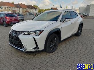 Damaged car Lexus UX  2021/5