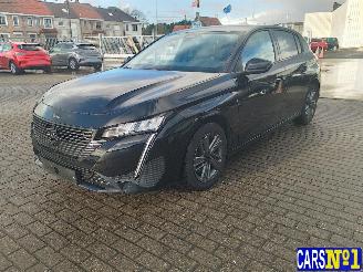 Peugeot 308  picture 1