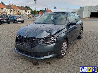 škoda osobní automobily Skoda Fabia  2019/12