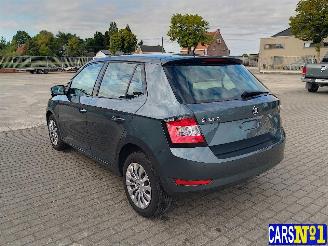 Skoda Fabia  picture 6