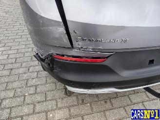 Opel Grandland (X) picture 10