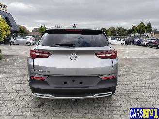 Opel Grandland (X) picture 5