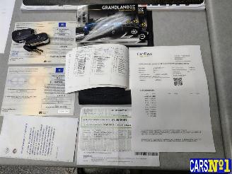 Opel Grandland (X) picture 20