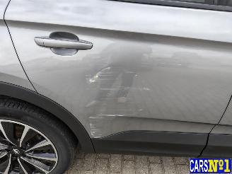 Opel Grandland (X) picture 9
