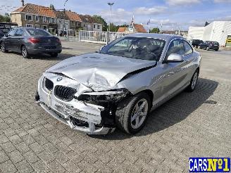 skadebil auto BMW 2-serie  2018/6