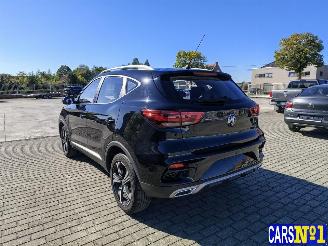 MG ZS  picture 6
