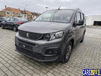 Peugeot Rifter  picture 1