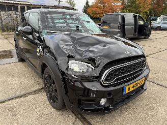 Mini Countryman Cooper S E ALL4 Chili picture 8
