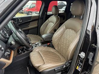 Mini Countryman Cooper S E ALL4 Chili picture 24