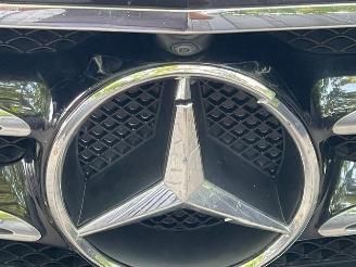 Mercedes E-klasse 220 d AMG LINE PANORAMADAK NAVI CAMERA LED picture 19
