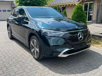 Mercedes EQE SUV 350+ ADVANCED CAMERA NAVI LED picture 4
