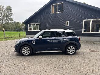 Mini Countryman Countryman COOPER 1.5 EDITION NAVI CLIMA CAMERA LED KEYLESS B.J 2019 picture 6