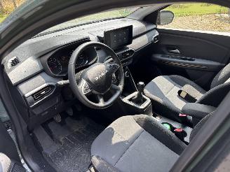 Dacia Sandero STEPWAY FACELIFT EXTREEM CLIMA CAMERA LED PDC CRUISE B.J 2024 picture 9