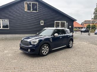 Voiture accidenté Mini Countryman 1.5 EDITION NAVI CLIMA CAMERA LED KEYLESS B.J 2019 2019/7