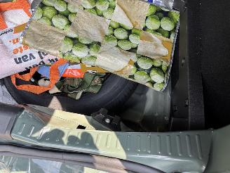 Dacia Sandero STEPWAY 110 PK EXTREEM NAVI CLIMA CAMERA LED B.J 2024 FACELIFT picture 18