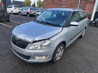 uszkodzony samochody osobowe Skoda Fabia  2011/1