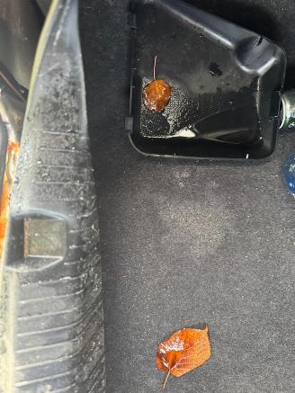 Opel Vectra B picture 10