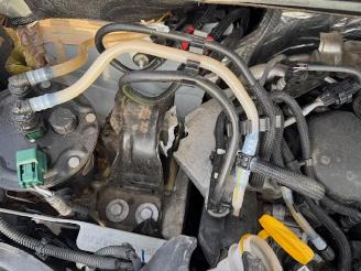 Renault Kangoo  picture 15