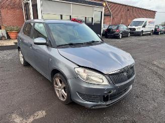 Skoda Fabia  picture 30