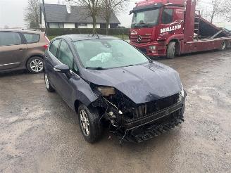 Ford Fiesta TITANIUM ECONETIC picture 32