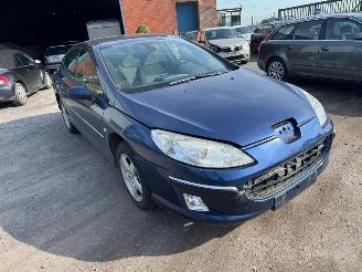 Peugeot 407  picture 2