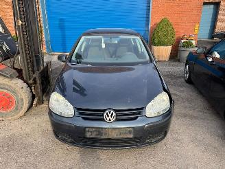 Volkswagen Golf V picture 1