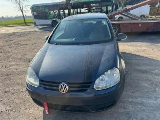 Volkswagen Golf  picture 4