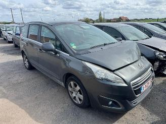 Peugeot 5008 I  STYLE picture 2