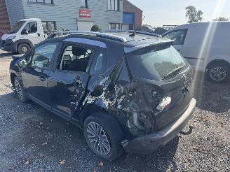 Peugeot 2008 ACTIVE picture 8