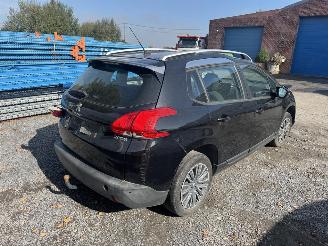 Peugeot 2008 ACTIVE picture 10