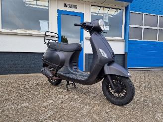 GTS  DJJD CASHMERE picture 2