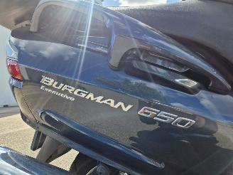 Suzuki  AN 650 BURGMAN EXECUTIVE picture 17