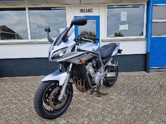 Yamaha  FZS 1000 FAZER picture 12