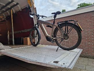 Stromer  RIESE & MULLER SUPERCHARGER picture 12