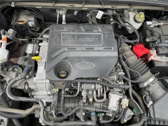 Ford Focus Focus 4, Hatchback, 2018 / 2025 1.0 Ti-VCT EcoBoost 12V 100 picture 8