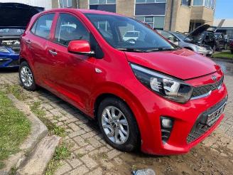 Kia Picanto  picture 6