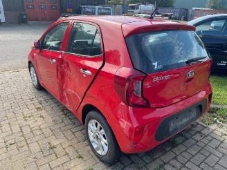 Kia Picanto  picture 3