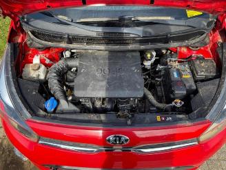 Kia Picanto  picture 11